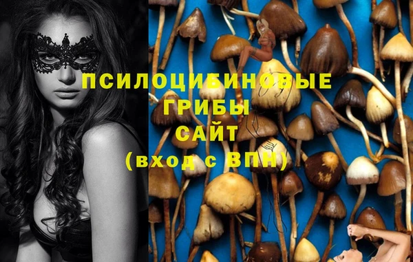 jwh Богородск