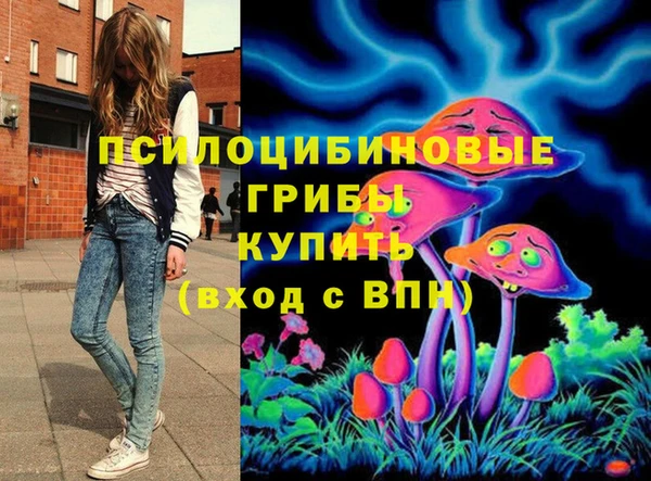 MDMA Богородицк